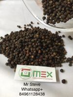 BLACK PEPPER - BEST PRICE AND FREE SAMPLE