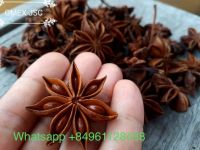STAR ANISE BEST PRICE AND FREE SAMPLE