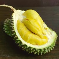 HIGH QUALITY DURIAN FRUIT with Lowest Price/Durio zibethinus/ Whatsapp +84379615416 HIGH QUALITY DURIAN FRUIT with Lowest Price/Durio zibethinus/ Whatsapp +84379615416 