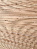 Commercial plywood