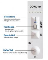 COVID-19 IgG/IgM Healgen Antibody Test