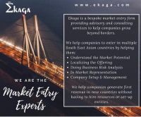 New Market Entry & Expansion, Strategy Consultants