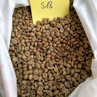 Arabica Coffee Beans