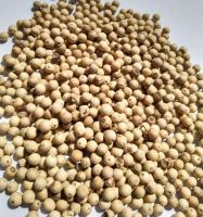 Muntok White Pepper Grade B (ASTA)