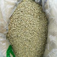 High Quality Green Coffee Beans