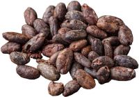 Fresh Cocoa beans