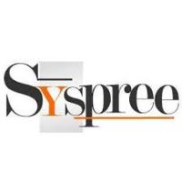 Syspree Website Designing Packages Standard