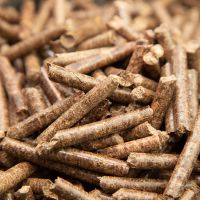 Bio Fuel Wood Pellet / Wood Chips 