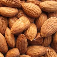 Grade A Almond Nuts / Raw Natural Almond Nuts / Organic Bitter Almonds