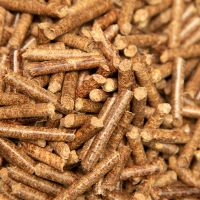 Bio Fuel Wood Pellet / Wood Chips