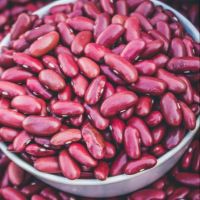 Organic Dark Red kidney bean