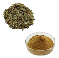 Natural Slimming Yerba Tea 