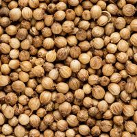 Coriander Seeds