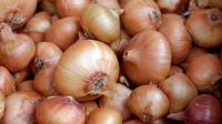 Red Onion