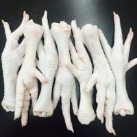 Chicken feet / paws for sale