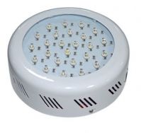 LED Grow light 50W