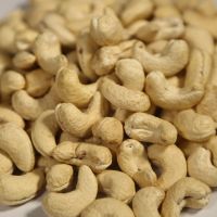 Vietnam cashew nuts wholesale WW320 super granules