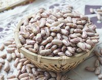 Light/Red Speckled Sugar Beans in Premium Quality for Sale