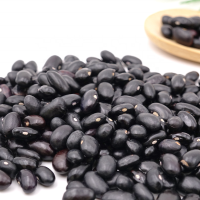  Premium Quality black eyed matpe kidney beans for Sale