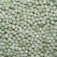 organic dry Green Peas