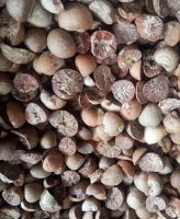 HIGH QUALITY BETEL NUT 95% for sale