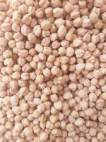 Great quality chickpeas / 99% purity chick peas