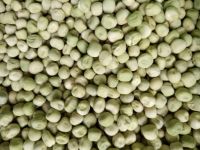 Dry Green Color Wholesale Pea Green Peaseas