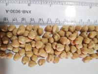 Kabuli chick peas