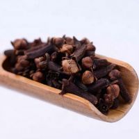 Hot Selling Cloves Bulk 