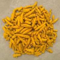 Turmeric Fingers / Dry Turmeric / Turmeric Roots