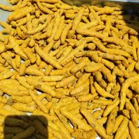 High Quality   Dried Turmeric Finger