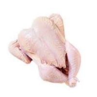 Halal Frozen Whole Chicken -Grade A