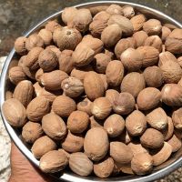 Best Quality Nutmeg From India
