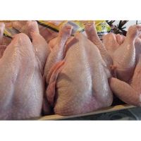 HALAL GRADE CHICKEN FEET / FROZEN CHICKEN PAWS