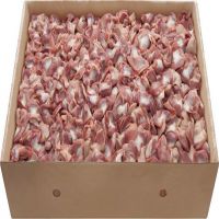 Halal Premium Grade Frozen Chicken Gizzards