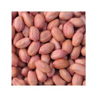 Natural Dried Groundnuts