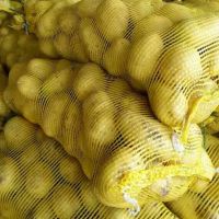 Fresh potato export prices wholesale