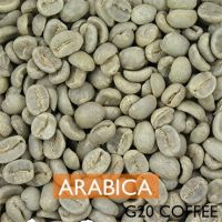 Natural Arabica Green Raw Coffee Beans