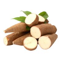 Best Price Fresh Cassava