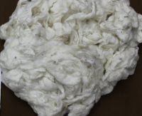 Low price Raw Cotton