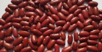 Dark red kidney beans