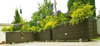 Polyrattan Planters