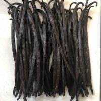 Vanilla Gourmet beans