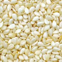 QUALITY ORGANIC SESAME SEEDS HULLED and UNHULLED