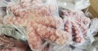 TOP GRADE FROZEN OCTOPUS AVAILABLE