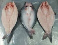 WE SUPPLY PANGASIUS WELLTRIMMED,UNTRIMMED,,STEAK,HGT,WR,BUTTERFLY WITH GOOD PRICE