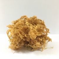  HOT NEW SEAWEED FROM VIETNAM/ DRIED SEAMOSS/ IRISH SEAWEED