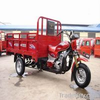 Cargo Tricycle