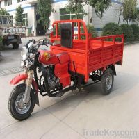 Chopper Style Cargo Tricycle