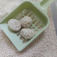 CAT LITTER MADE FROM NATURAL TAPIOCA